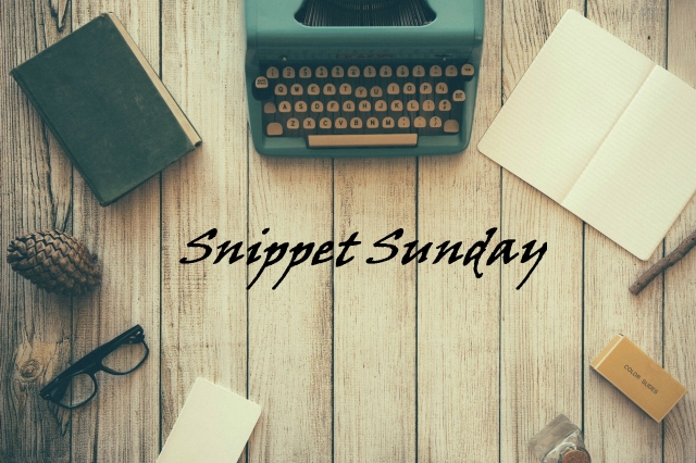 Snippet Sunday